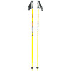 Blast Ski Pole
