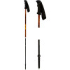 Guide Ski Pole/Probe