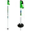 Line Dart Ski Pole