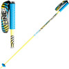 Line Dart Ski Pole