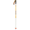 Line Dart Ski Pole
