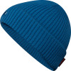 Tone Beanie