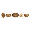 Metolius Wood Grip Holds - 5 Pack