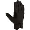Belay Glove
