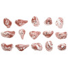 Mini Jugs - 15 Pack