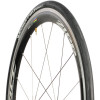 Pro Optimum Tire - Clincher