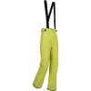 Alyeska GTX Pant - Women's