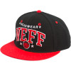 Neff Team Hat