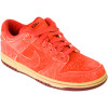 Nike Dunk Low 6.0 Skate Shoe - Women's