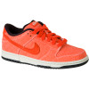 Dunk Low 6.0 Skate Shoe - Women's