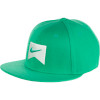 Nike Icon Swoosh Flex Hat
