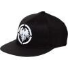 Eagle 210 Fitted Hat
