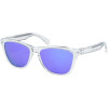 Oakley Frogskins Sunglasses