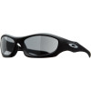 Monster Dog Sunglasses