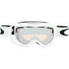 Oakley Ambush Goggle