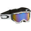 Oakley Twisted Goggle