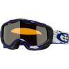 Twisted Goggle