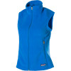 Patagonia Synchilla Fleece Vest - Women's