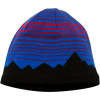 Patagonia Lined Beanie