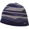 Patagonia Lined Beanie