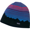 Patagonia Lined Beanie