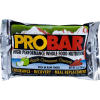 ProBar Apple Cinnamon Crunch - Box of 12