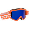POC Iris X Goggles