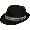 Democracy Fedora