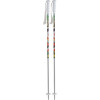 Roxy Shazam Ski Poles 