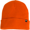 Quiksilver Travis Rice Beanie