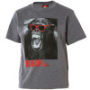 Quiksilver Rad T-Shirt - Short-Sleeve - Little Boys'