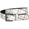 Carton Belt