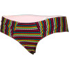 Sunrise To Sunset 70's Boy Brief Bikini Bottom - Women's