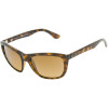 RB4154 Sunglasses - Polarized