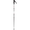 G 20 Ski Pole