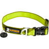 Hoopie Dog Collar