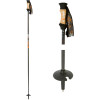 Element Ski Pole