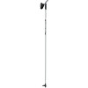 Active Ski Pole