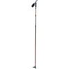 Escape Ski Pole