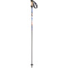 Element Ski Pole