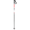 Patrol Ski Pole