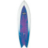 Surftech Soul Fish Surfboard
