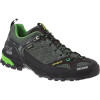 Firetail GTX Hiking Shoe - Men's