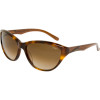 Cypress Sunglasses