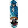 Gavin Beschen Cruiser Board