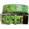 Spacecraft Grass Belt