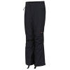 Spyder Chugach Pant - Men's