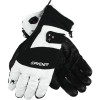 Spyder Exo Link Ski Gore-Tex Glove