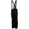 Spyder Dare Pant - Men's