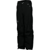 Spyder Chute Gore-Tex Pant